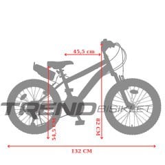 Everest Cross 20 Jant Amortisörlü Bisiklet, 21 Vites Çocuk Bisikleti, CNC Alüminyum Jant, Boy 115-135 cm